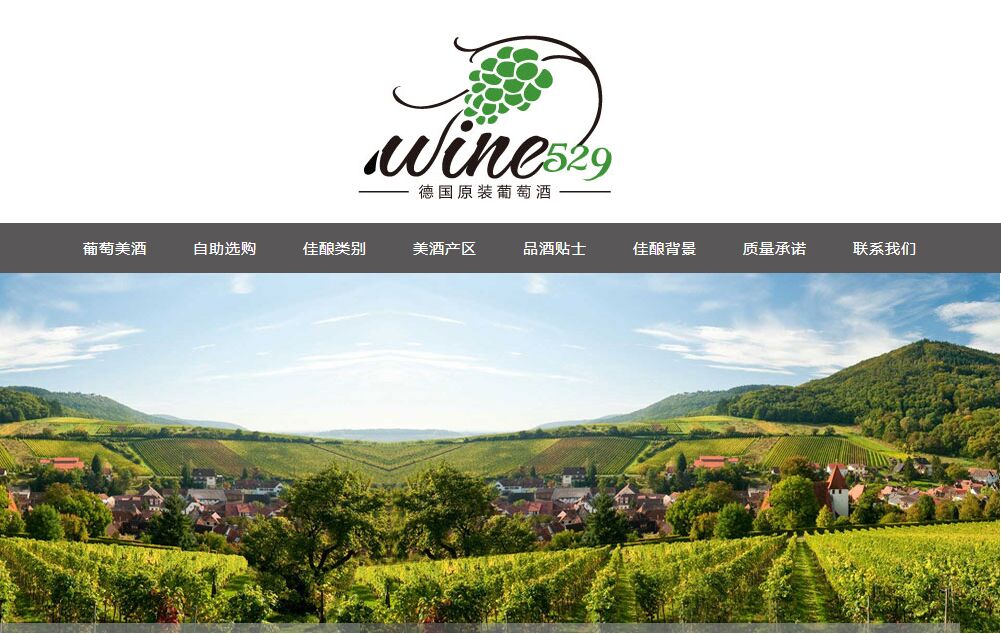  為什么你的網(wǎng)站沒人進(jìn)？來看看真正的好網(wǎng)站，別讓自己輸在起跑 wine529